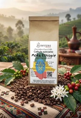 afé de spécialité Moka Ethiopie - Yirgacheffe - GEDEO