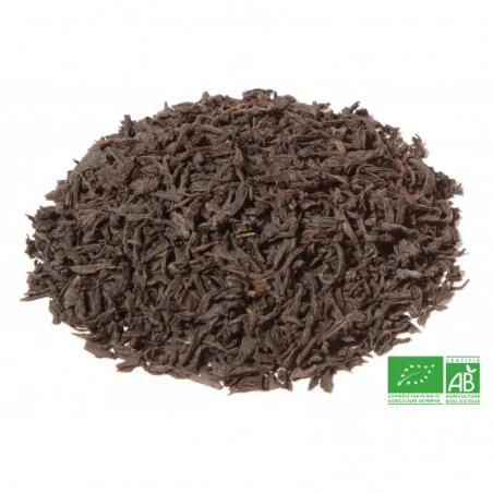 Thé noir fumé Bio Lapsang Souchong