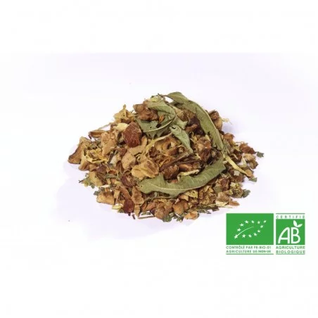 Tisane des elfes -Tisane agrumes-baies sauvages BIOcaféterie Guillaume%description_short|limit|%