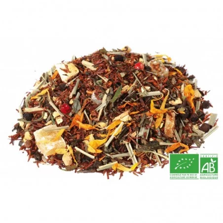 Tisane ayurvédique BIO mangue-gingembre