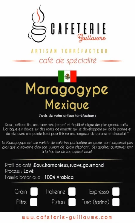 Café Maragogype Mexique région Chiapas