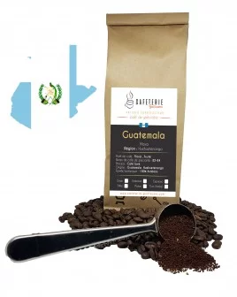 Café de spécialité Guatemala Huehuetenango Maya