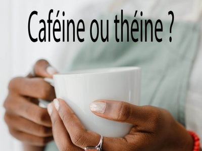 Quelle est la différence entre la caféine et la théine ?